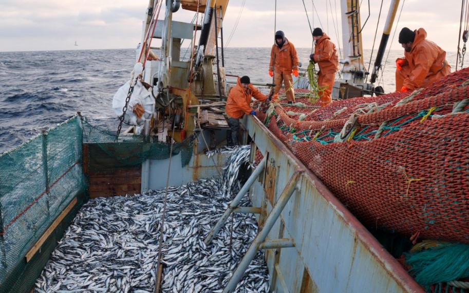 Россия-нанесла-удар-по-американской-рыбной-промышленности